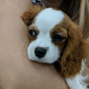 Meet your Posher, Erica